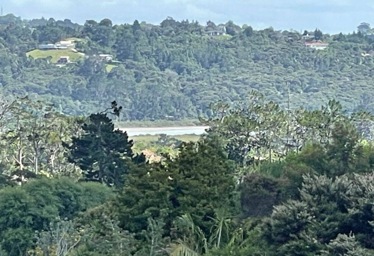 533m2 section, Site work started, expected title to be issued within 12 months., Fully serviced sites with water, power, wastewater & stormwater connection., Delivered by trusted & experienced local developer., Pre construction release, exceptional value, 10% to secure now, Lot 8/114 Upper Harbour Drive, Greenhithe, Auckland