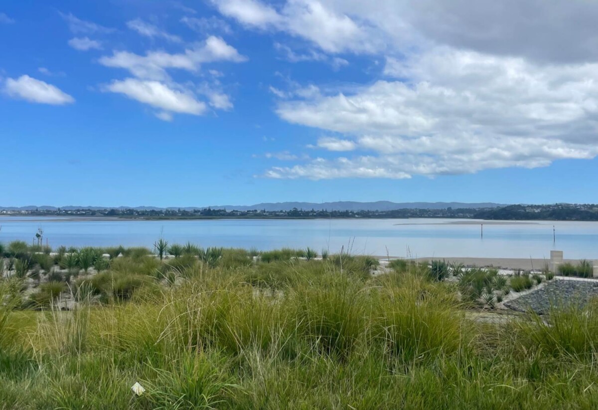 232m2 Coastal Section With Views and Approved RC for 2 level 4beds house with garage, fully serviced & title is issued, Buying New Sections directly from the land developer, 133 Limestone Drive, Hobsonville, Auckland