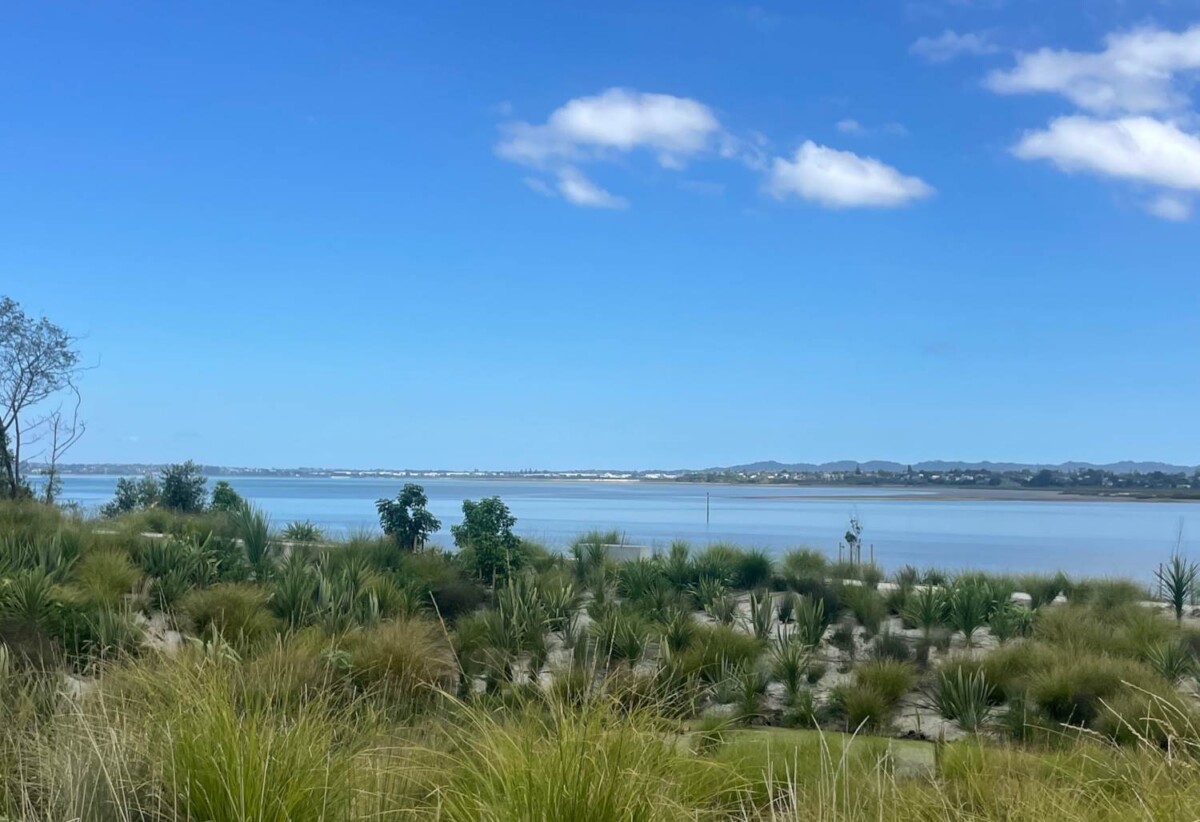 232m2 Coastal Section With Views and Approved RC for 2 level 4beds house with garage, fully serviced & title is issued, Buying New Sections directly from the land developer, 133 Limestone Drive, Hobsonville, Auckland