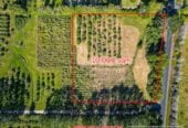 Urgent sale, Vendor want to sell it ASAP, This 10,000 sqm lifestyle land in Kumeu’s high-growth Future Urban Zone, just 3 km from Kumeu town centre, 162 Trigg Road, Huapai, Auckland