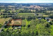 Urgent sale, Vendor want to sell it ASAP, This 10,000 sqm lifestyle land in Kumeu’s high-growth Future Urban Zone, just 3 km from Kumeu town centre, 162 Trigg Road, Huapai, Auckland