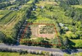 Urgent sale, Vendor want to sell it ASAP, This 10,000 sqm lifestyle land in Kumeu’s high-growth Future Urban Zone, just 3 km from Kumeu town centre, 162 Trigg Road, Huapai, Auckland