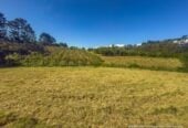 Urgent sale, Vendor want to sell it ASAP, This 10,000 sqm lifestyle land in Kumeu’s high-growth Future Urban Zone, just 3 km from Kumeu town centre, 162 Trigg Road, Huapai, Auckland