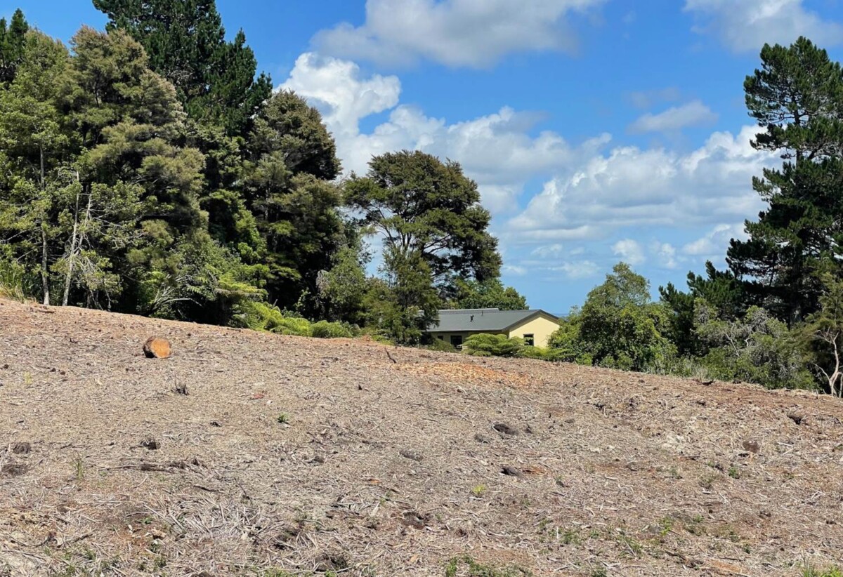 980m² section, Site work started, expected title to be issued within 12 months., Fully serviced sites with water, power, wastewater & stormwater connection., Delivered by trusted & experienced local developer., Pre construction release, exceptional value, 10% to secure now, Lot 5 Shelter Drive, Greenhithe, Auckland