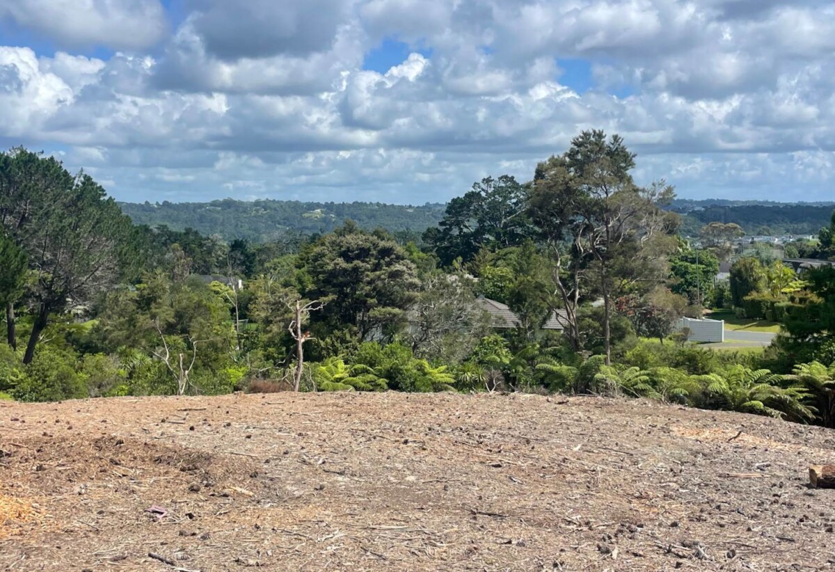 sections Size 508m2 to 980m² approx, Site work started, expected title to be issued within 12 months., Fully serviced sites with water, power, wastewater & stormwater connection., Delivered by trusted & experienced local developer., Pre construction release, exceptional value, 10% to secure now, Lots 1-11 Shelter Drive, Greenhithe, Auckland