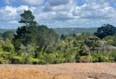 758m² section, Site work started, expected title to be issued within 12 months., Fully serviced sites with water, power, wastewater & stormwater connection., Delivered by trusted & experienced local developer., Pre construction release, exceptional value, 10% to secure now, Lot 4 Shelter Drive, Greenhithe, Auckland
