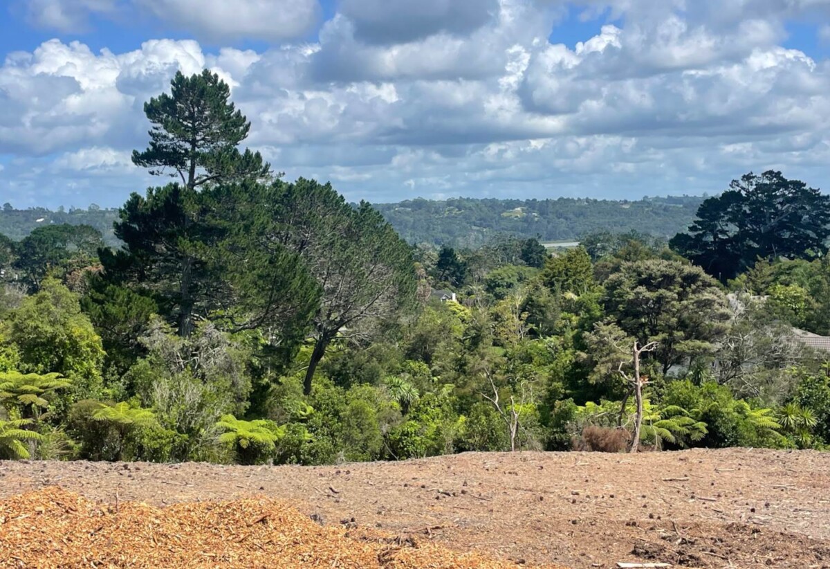 522m2 section, Site work started, expected title to be issued within 12 months., Fully serviced sites with water, power, wastewater & stormwater connection., Delivered by trusted & experienced local developer., Pre construction release, exceptional value, 10% to secure now, Lot 2 Shelter Drive, Greenhithe, Auckland