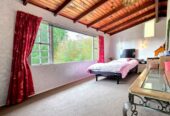 3,202 sqm of Local Centre Zone, 3 beds 2 baths house, A large covered deck overlooks your private park-like grounds, , A separate, generously sized studio with its own bathroom , zoned for Massey Primary School, Massey High School, 414 Don Buck Road, Massey, Auckland