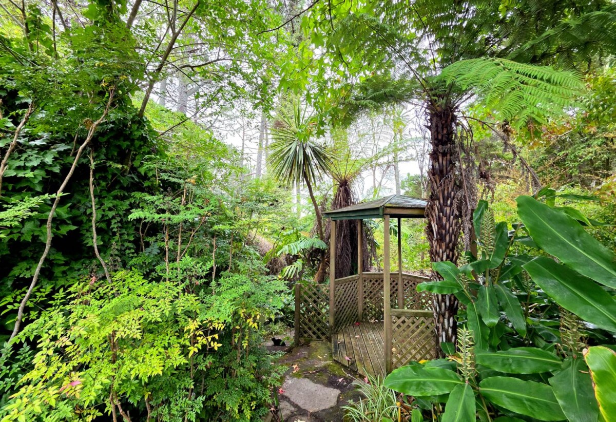 3,202 sqm of Local Centre Zone, 3 beds 2 baths house, A large covered deck overlooks your private park-like grounds, , A separate, generously sized studio with its own bathroom , zoned for Massey Primary School, Massey High School, 414 Don Buck Road, Massey, Auckland