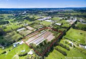 3-bedroom home with workshop & loft on 4.0507ha land, Approx. 233 m road frontage , 2.9 km to Whenuapai School, 10 Hailes Road, Whenuapai, Auckland