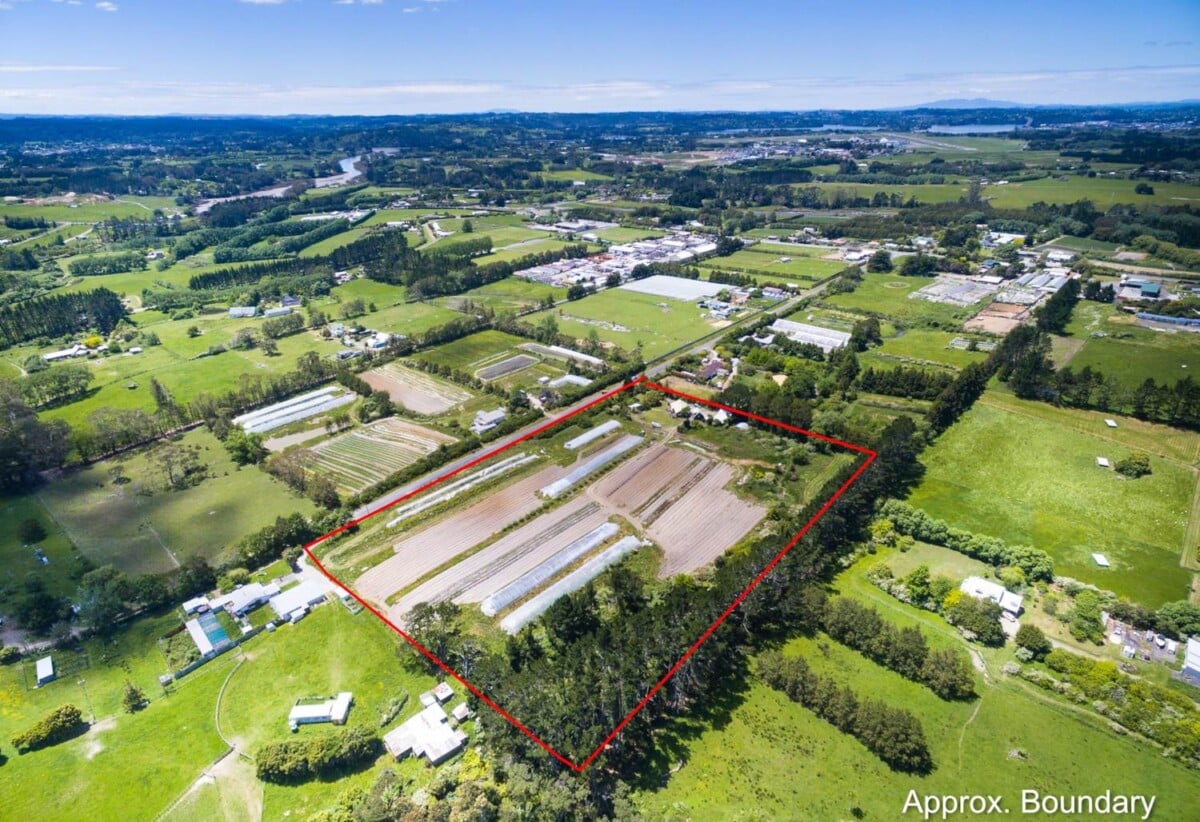 3-bedroom home with workshop & loft on 4.0507ha land, Approx. 233 m road frontage , 2.9 km to Whenuapai School, 10 Hailes Road, Whenuapai, Auckland