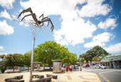 10-Year Master Build Guarantee, Dual-Living, Brandnew 2 x (1 bed 1 bath 1 kitchen) home, The estimated project completion is September 2026, Handy to Avondale town centre shops, schools, 0.3 km to Avondale Primary School (Auckland), 1 km to Avondale Intermediate, 1.1 km to Avondale College, estimated completion of September 2026, Lot 6/11&15 St Jude Street, Avondale, Auckland