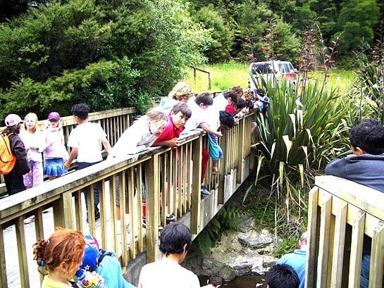 Once in 20 years, Large tourism park, land area 72.9075 ha, total floor area 790m2, was major bus tour stop before, not open to the public since 2011, (Current council rate is $1718.86/a only), There are heavily tourism investment, Current CV $1.337 million might not reflect these. had 6 RC consent before, including further development of 16- unit backpacker and 12 units motel, licensed restaurants, new tearoom. Also had seven issued building consent or permit including the backpack accommodations. easily accessed from two major State Highway 1(app 10 mins drive) and SH10 (app 20mins drive) with good, sealed road. And less than 15 minutes’ drive to the major Kaitaia town center. 12 Beckham Road, Kaitaia