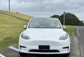 2023 Tesla Model Y RWD RV/SUV Automatic, Beige, 5 seats, Electric, 42,600 km