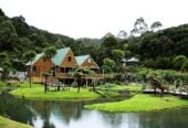 Once in 20 years, Large tourism park, land area 72.9075 ha, total floor area 790m2, was major bus tour stop before, not open to the public since 2011, (Current council rate is $1718.86/a only), There are heavily tourism investment, Current CV $1.337 million might not reflect these. had 6 RC consent before, including further development of 16- unit backpacker and 12 units motel, licensed restaurants, new tearoom. Also had seven issued building consent or permit including the backpack accommodations. easily accessed from two major State Highway 1(app 10 mins drive) and SH10 (app 20mins drive) with good, sealed road. And less than 15 minutes’ drive to the major Kaitaia town center. 12 Beckham Road, Kaitaia