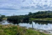 623m2 Elevated Section Backs Onto Reserve, just a short drive to mountain biking in Woodhill Forest, as well as the stunning west coast surf beaches, scenic walking and riding trails, and a great selection of local wineries and eateries, 33 Josh Road, Huapai, Auckland
