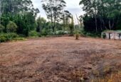 Once in 20 years, Large tourism park, land area 72.9075 ha, total floor area 790m2, was major bus tour stop before, not open to the public since 2011, (Current council rate is $1718.86/a only), There are heavily tourism investment, Current CV $1.337 million might not reflect these. had 6 RC consent before, including further development of 16- unit backpacker and 12 units motel, licensed restaurants, new tearoom. Also had seven issued building consent or permit including the backpack accommodations. easily accessed from two major State Highway 1(app 10 mins drive) and SH10 (app 20mins drive) with good, sealed road. And less than 15 minutes’ drive to the major Kaitaia town center. 12 Beckham Road, Kaitaia