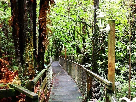 Once in 20 years, Large tourism park, land area 72.9075 ha, total floor area 790m2, was major bus tour stop before, not open to the public since 2011, (Current council rate is $1718.86/a only), There are heavily tourism investment, Current CV $1.337 million might not reflect these. had 6 RC consent before, including further development of 16- unit backpacker and 12 units motel, licensed restaurants, new tearoom. Also had seven issued building consent or permit including the backpack accommodations. easily accessed from two major State Highway 1(app 10 mins drive) and SH10 (app 20mins drive) with good, sealed road. And less than 15 minutes’ drive to the major Kaitaia town center. 12 Beckham Road, Kaitaia
