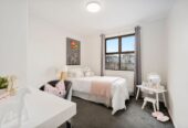Home and income on 716m2 section, 3 beds 1 bath main home + standalone 2 beds ( 1 bed plus 3.2m x 2.6m flexi room) 1 bath minor dwelling, currently rented With a combined return of $1,135 per week, near schools, parks, shops, and transport routes, 50 Barrys Road, Glendene, Auckland