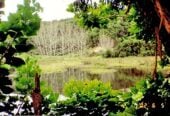 Once in 20 years, Large tourism park, land area 72.9075 ha, total floor area 790m2, was major bus tour stop before, not open to the public since 2011, (Current council rate is $1718.86/a only), There are heavily tourism investment, Current CV $1.337 million might not reflect these. had 6 RC consent before, including further development of 16- unit backpacker and 12 units motel, licensed restaurants, new tearoom. Also had seven issued building consent or permit including the backpack accommodations. easily accessed from two major State Highway 1(app 10 mins drive) and SH10 (app 20mins drive) with good, sealed road. And less than 15 minutes’ drive to the major Kaitaia town center. 12 Beckham Road, Kaitaia