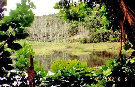 Once in 20 years, Large tourism park, land area 72.9075 ha, total floor area 790m2, was major bus tour stop before, not open to the public since 2011, (Current council rate is $1718.86/a only), There are heavily tourism investment, Current CV $1.337 million might not reflect these. had 6 RC consent before, including further development of 16- unit backpacker and 12 units motel, licensed restaurants, new tearoom. Also had seven issued building consent or permit including the backpack accommodations. easily accessed from two major State Highway 1(app 10 mins drive) and SH10 (app 20mins drive) with good, sealed road. And less than 15 minutes’ drive to the major Kaitaia town center. 12 Beckham Road, Kaitaia