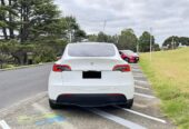 2023 Tesla Model Y RWD RV/SUV Automatic, Beige, 5 seats, Electric, 42,600 km