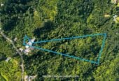 Into The Woods, 257m2 4 beds 2 baths house with double garage on 3.6ha land, Set in the peaceful hills of Waiatarua, this is a property that truly feels like a world away from suburbia-yet is still just a short drive to shops, schools, and transport links, 220 Forest Hill Road, Waiatarua, Auckland