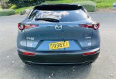 2020 Mazda CX-30 HIGH SPAC AWD 360 VIEW CAMERA RV/SUV Automatic, 5 seats, Petrol, 2,000 cc, 49,175 km