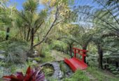 3 beds 1 bath house on 1373m2 section, The grounds also include a large workshop, a wood store, and a flexible room, a beautiful Japanese-style garden complete with winding pathways and a tranquil pond. 0.4 km to Long Bay School, 0.7 km to Long Bay College, 248 Glenvar Road, Torbay, Auckland
