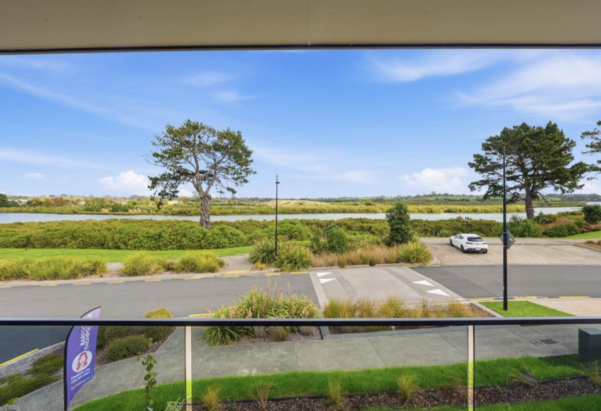 Next To Reserve With Water View, Brandnew 6 beds 5.5 baths house with double garage and 2-beds granny on 411m2 section, close to schools, shops, motorway access, 0.5 km to Mangapikopiko School, 17 Catalina Avenue, Rosehill, Auckland