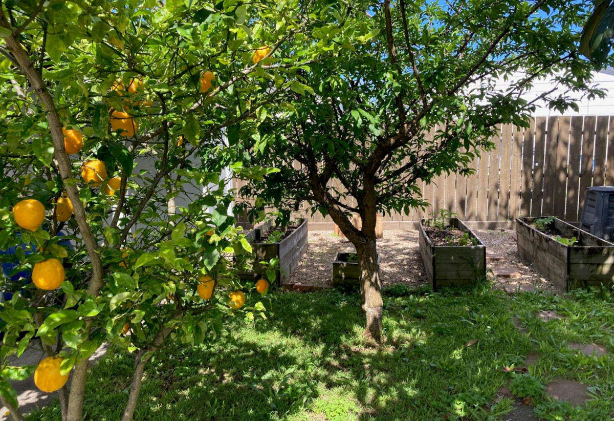 Renovated 3 beds 1 bath house with carport, just a short stroll from the train station, local cafés, and Southmall, close to school motorway access, 0.5 km to Manurewa High School, 1/19 Martin Road, Manurewa, Auckland