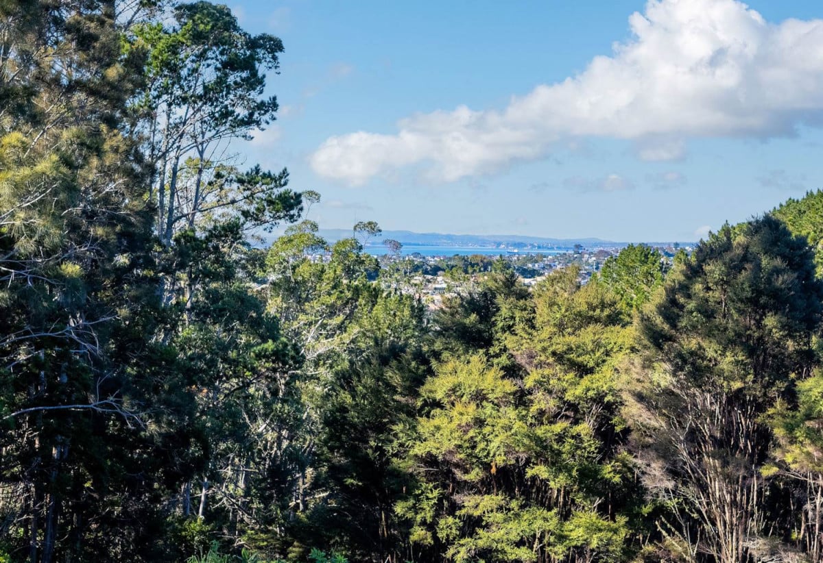 3245m2 Lifestyle section, close to Albany Mega Centre, Park’n Ride, Massey University, and prestigious private schools Kristin School and Pinehurst School. 1.2 km to Oteha Valley School, 39A Lonely Track Road, Fairview Heights, Auckland