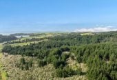 HIGH COURT SALE, two sections (a) 23.6893 ha + (b) 716.3948 ha, Village 2/& Balance Land, Ara Weiti Road, Okura Bush, Auckland