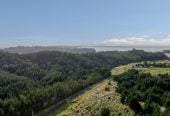 HIGH COURT SALE, two sections (a) 23.6893 ha + (b) 716.3948 ha, Village 2/& Balance Land, Ara Weiti Road, Okura Bush, Auckland