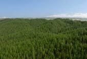HIGH COURT SALE, two sections (a) 23.6893 ha + (b) 716.3948 ha, Village 2/& Balance Land, Ara Weiti Road, Okura Bush, Auckland