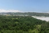 HIGH COURT SALE, two sections (a) 23.6893 ha + (b) 716.3948 ha, Village 2/& Balance Land, Ara Weiti Road, Okura Bush, Auckland