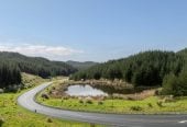 HIGH COURT SALE, two sections (a) 23.6893 ha + (b) 716.3948 ha, Village 2/& Balance Land, Ara Weiti Road, Okura Bush, Auckland