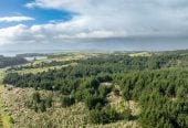 HIGH COURT SALE, two sections (a) 23.6893 ha + (b) 716.3948 ha, Village 2/& Balance Land, Ara Weiti Road, Okura Bush, Auckland