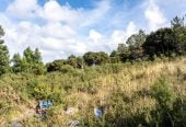 MORTGAGEE SALE, 4000m2 section, there’s already a concept for two huge 6-bedroom homes (RC pending), or you can build one landmark estate. You’re minutes from Westfield, motorways, and top schools like Kristin and Albany Junior/Senior High. 31 Living Stream Road, Albany Heights, Auckland