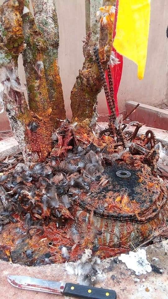 +2348167256910 #where to join secrets occult for money rituals power and fame