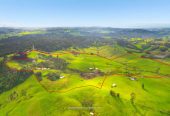 Overseas Bound Vendor Demands Sale, 33.8662ha Lifestyle land, Approx 7km to the Silverdale motorway interchange and around 17km to the Albany retail hub plus approx a 35km commute to the Auckland CBD, 462 Kahikatea Flat Road, Waitoki, Auckland