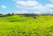 Overseas Bound Vendor Demands Sale, 33.8662ha Lifestyle land, Approx 7km to the Silverdale motorway interchange and around 17km to the Albany retail hub plus approx a 35km commute to the Auckland CBD, 462 Kahikatea Flat Road, Waitoki, Auckland