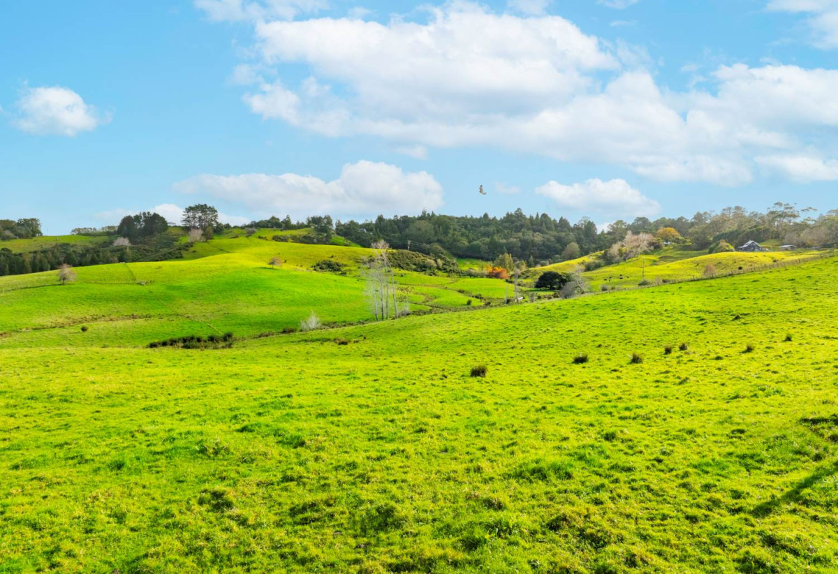 Overseas Bound Vendor Demands Sale, 33.8662ha Lifestyle land, Approx 7km to the Silverdale motorway interchange and around 17km to the Albany retail hub plus approx a 35km commute to the Auckland CBD, 462 Kahikatea Flat Road, Waitoki, Auckland