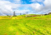 Overseas Bound Vendor Demands Sale, 33.8662ha Lifestyle land, Approx 7km to the Silverdale motorway interchange and around 17km to the Albany retail hub plus approx a 35km commute to the Auckland CBD, 462 Kahikatea Flat Road, Waitoki, Auckland