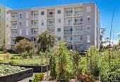 Forget the Council CV, 50m2 1 bed 1 bath apartment, close to schools, shops, shopping centres, 0.6 km to Onehunga Primary School, 1.2 km to Royal Oak Intermediate School, 110/9D Jordan Avenue, Onehunga, Auckland