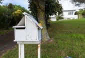 819m2 section, 0.7 km to Macleans College, Sea Views, 3 beds 2 baths house with garage, a lower-level rumpus room, 6 Nickleby Place, Mellons Bay, Auckland
