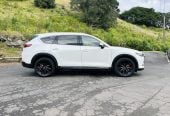 2019 Mazda CX-8 25S SPORTS !! TOP SPEC !! FULLY LOADED !! RV/SUV Tiptronic, 7 seats, New Import, Petrol, 2,500 cc, 77,296 km