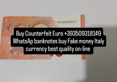 1000286699