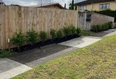 For rent, Pets considered on request, 2 beds 1 nath home, a fully fenced yard with a small private garden, a handy storage room, and car park, available 15th August, 1/31 Abercrombie Street, Howick, Auckland