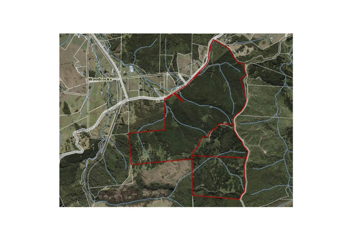 200 hectare (more or less) landholding on 6 separate titles Land Holding In Warkworth, Concept plan for 24 lots lifestyle blocks subdivision plan on the northern part of land (133.9047ha), Approx 70 hectares remains with 15 yrs radius pine & various excellent building sites, 1033-1149 Woodcocks Road, Warkworth, Auckland